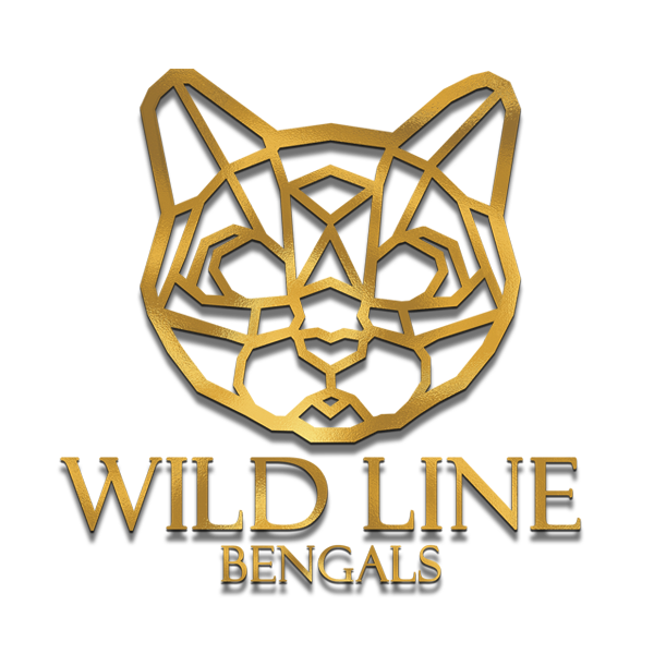 cat-logo