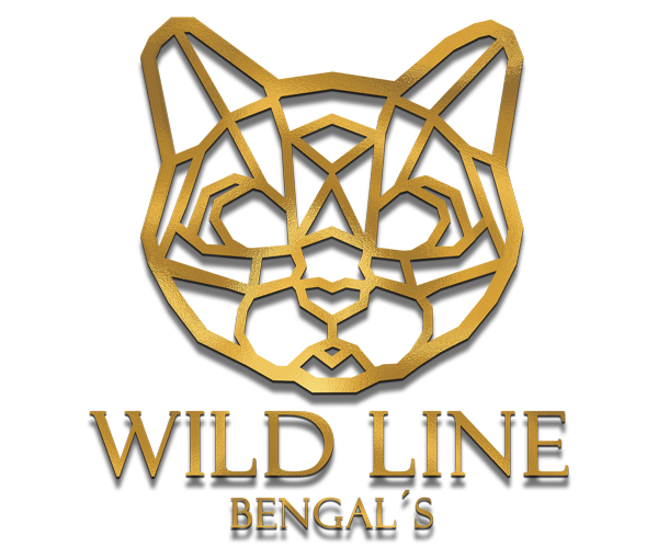 cat-logo